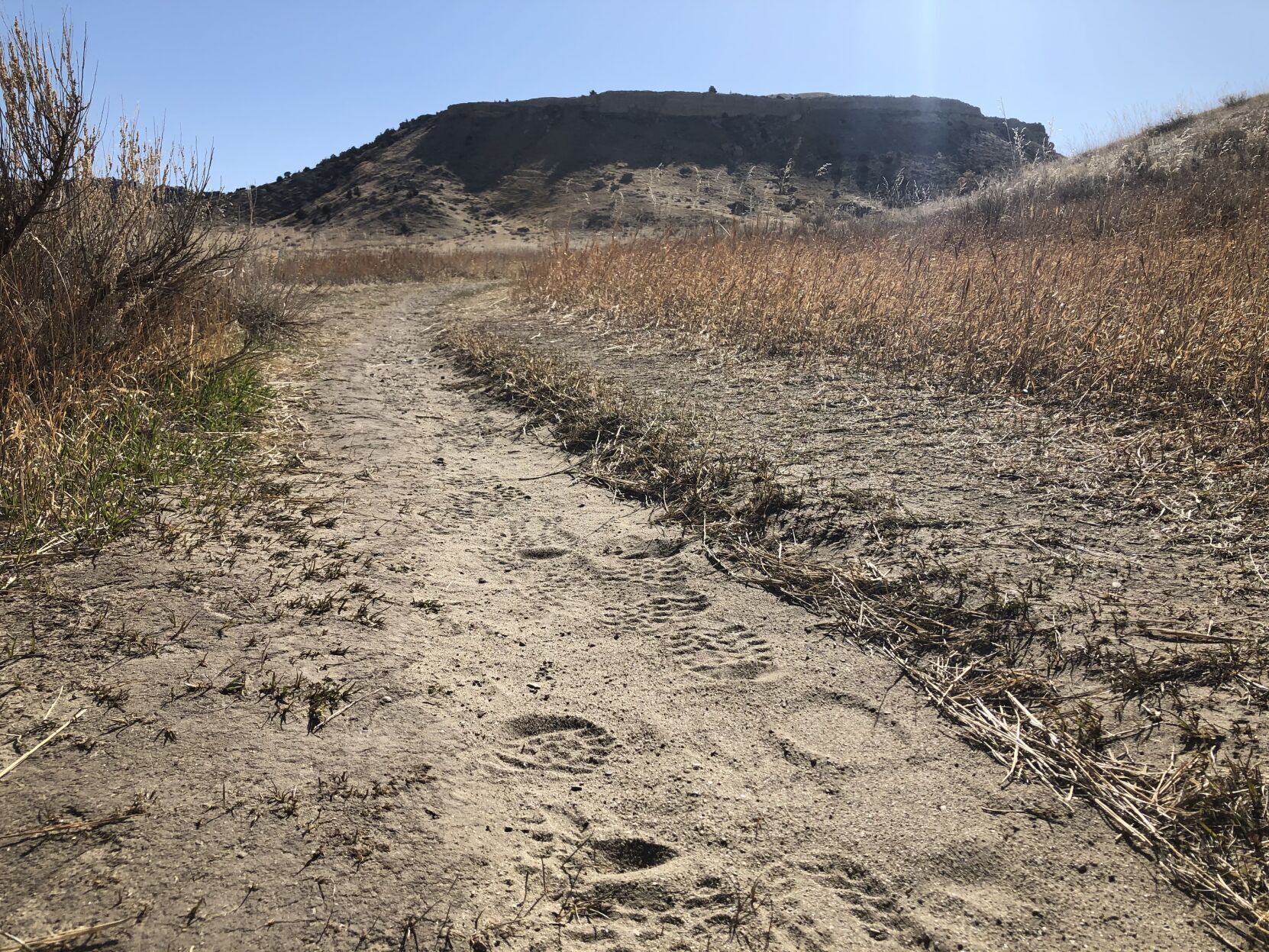 Madison Buffalo Jump State Park proposal on trail rehabilitation after record visits 2